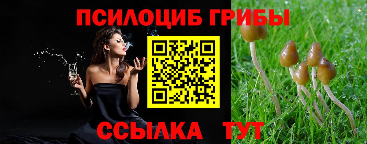 Псилоцибиновые грибы MAGIC MUSHROOMS  Псилоцибиновые грибы GOLDEN TEACHER  Черногорск  Вход с VPN 